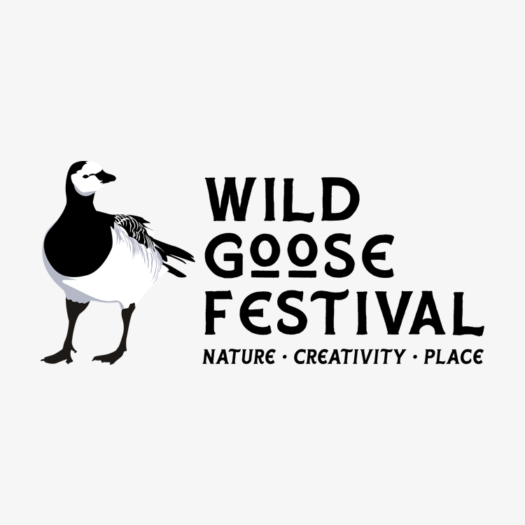 Wild Goose Festival The Stove Network